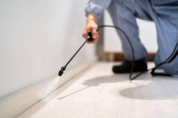 Licensed Fumigation Services service in Middlebush, NJ - Nex Pest Control