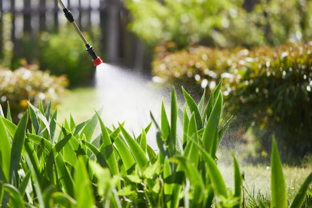 24/7 Emergency Fumigation Services experts in Middlebush, NJ