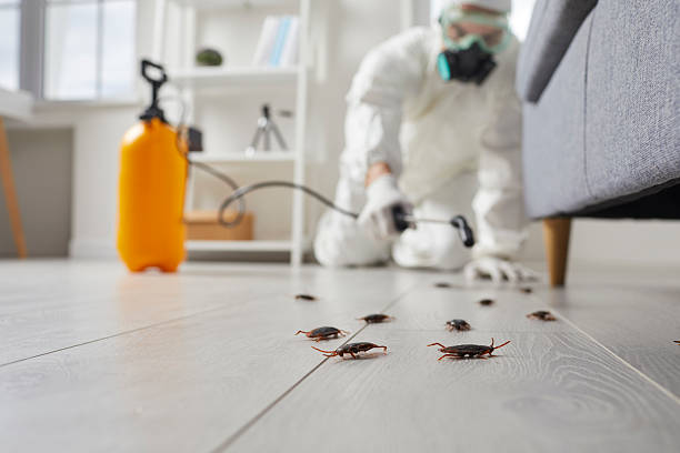Trusted Fumigation Services service in Middlebush, NJ - Nex Pest Control